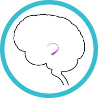 hippocampus modal icon