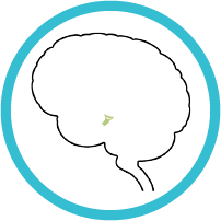 Hypothalamus modal icon