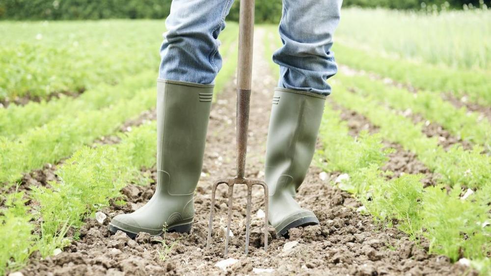Farmers boots in field 