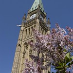 Peace tower