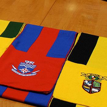 College Scarves