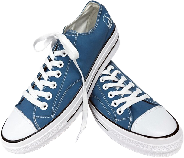 Photo of blue converse-like sneakers with trent's logo on the heel