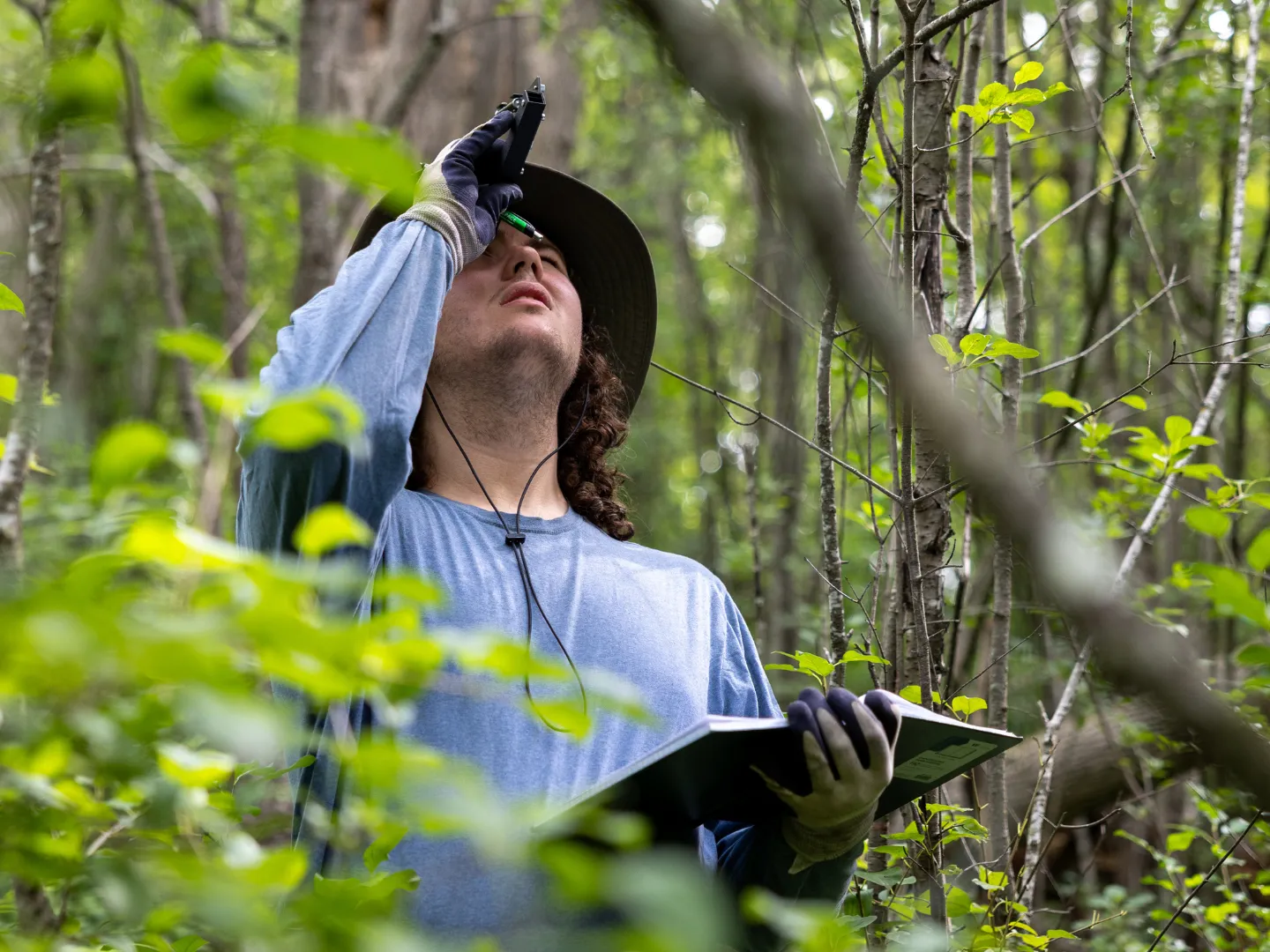 Student doing environmental surveying in forest.