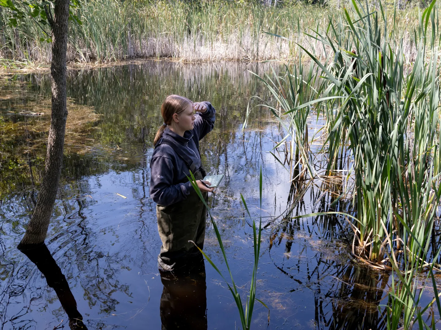 Student doing surveying in pond.