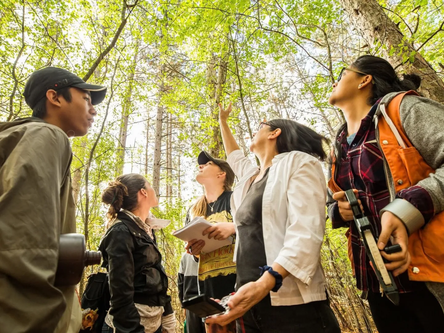 Professor with students in forest looking up a trees.