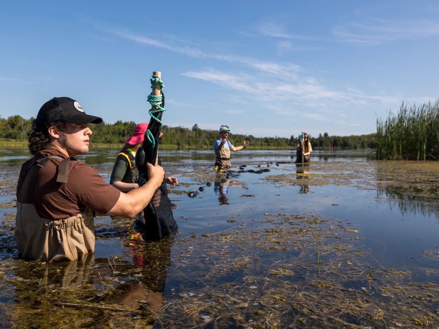Students doing field sampling of fish in water