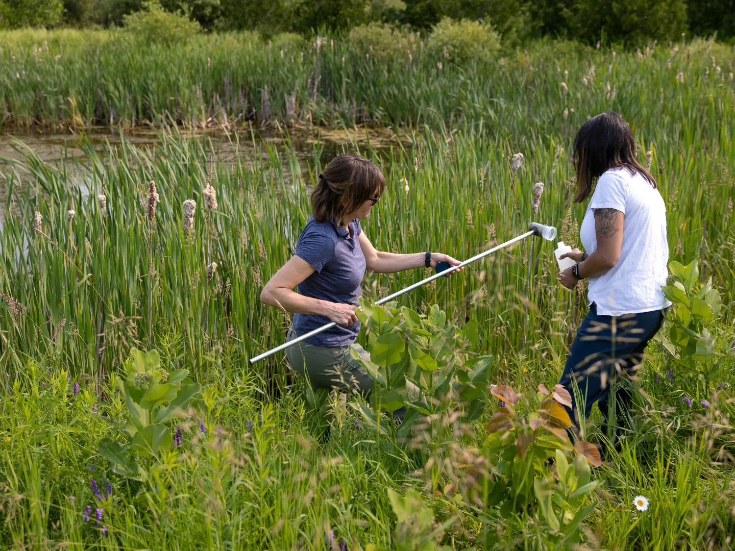 Professor and student doing surveying in water.