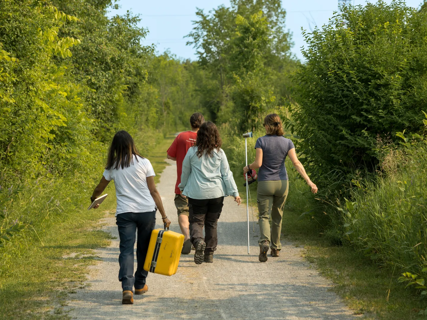 Researchers walking on path.