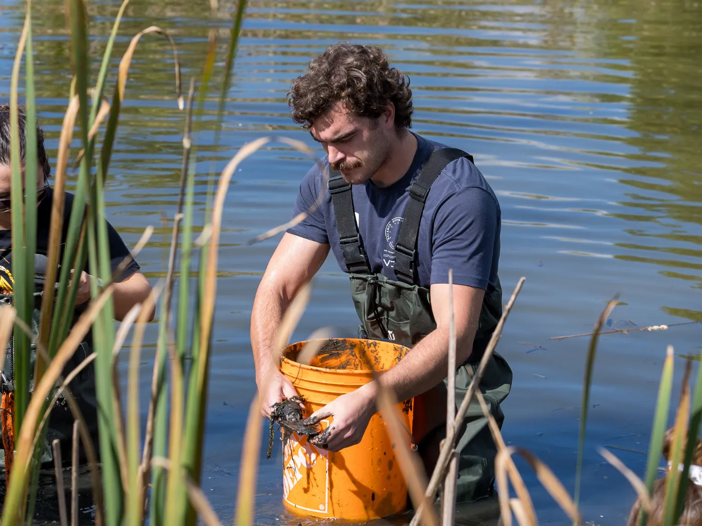 Student conducting research in pond