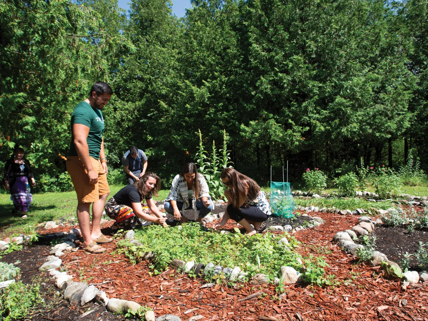 Group working in medicine garden.