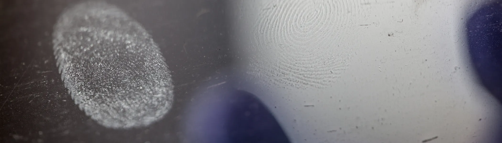 Finger Print from Trent University Forensics science lab.