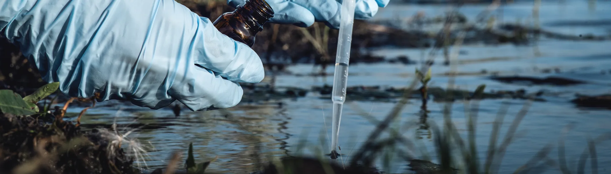 Person taking water sample from a body of water.