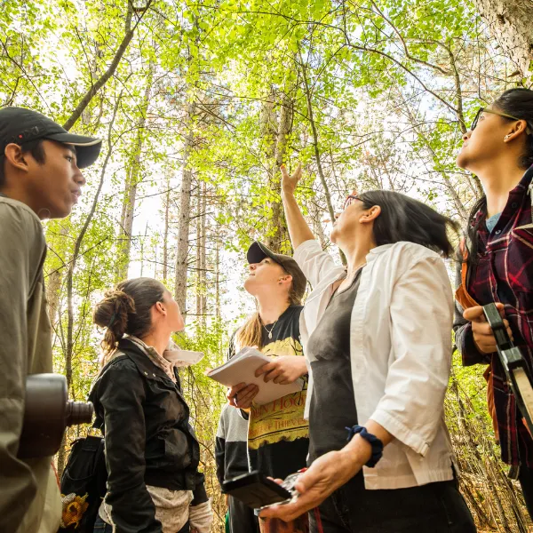 Trent University student and professor in a forest, looking up at trees.