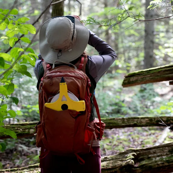 Trent University student surveying nature are in a forest.