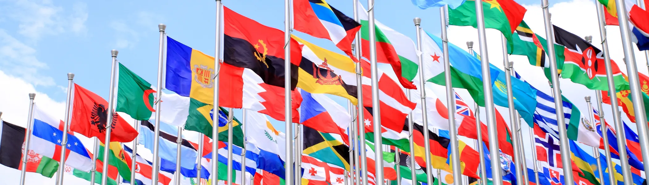 Many country flags, flying in the wind.