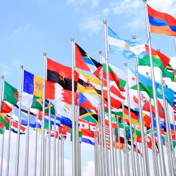 Many country flags, flying in the wind.
