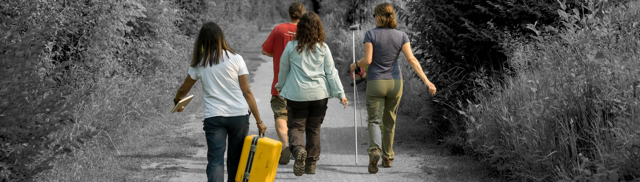 Group of Trent University students walking down a trail in a forest with research equipment.