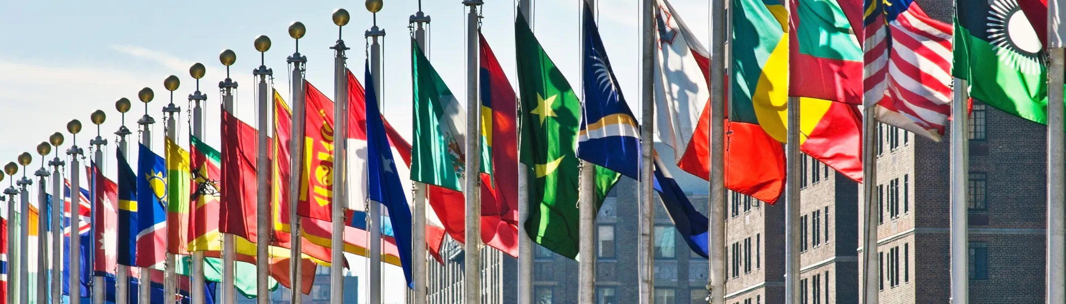 Many country flags, flying in the wind.
