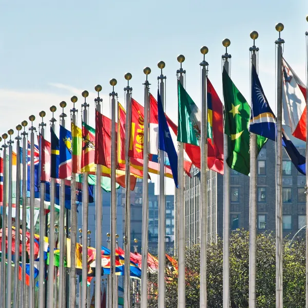 Many country flags, flying in the wind.