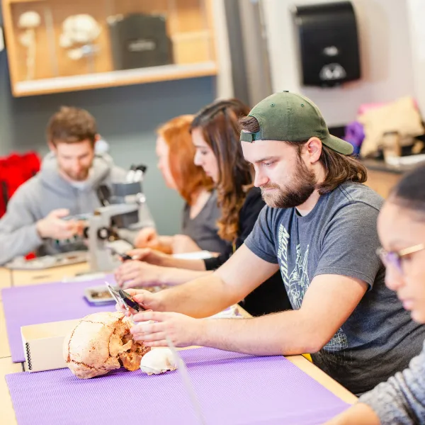 Trent University students conducting research in anthropology lab.