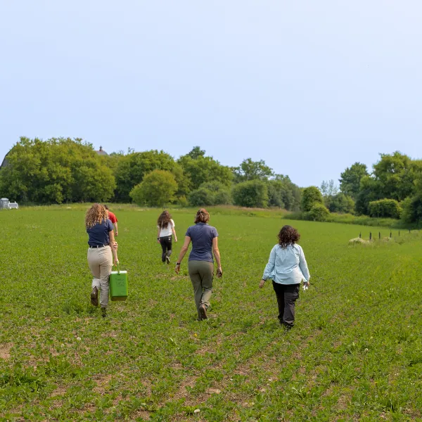 Trent University students walking through a field to conduct research.