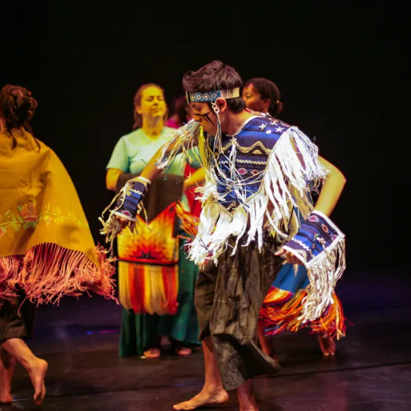 Indigenous students performance. 