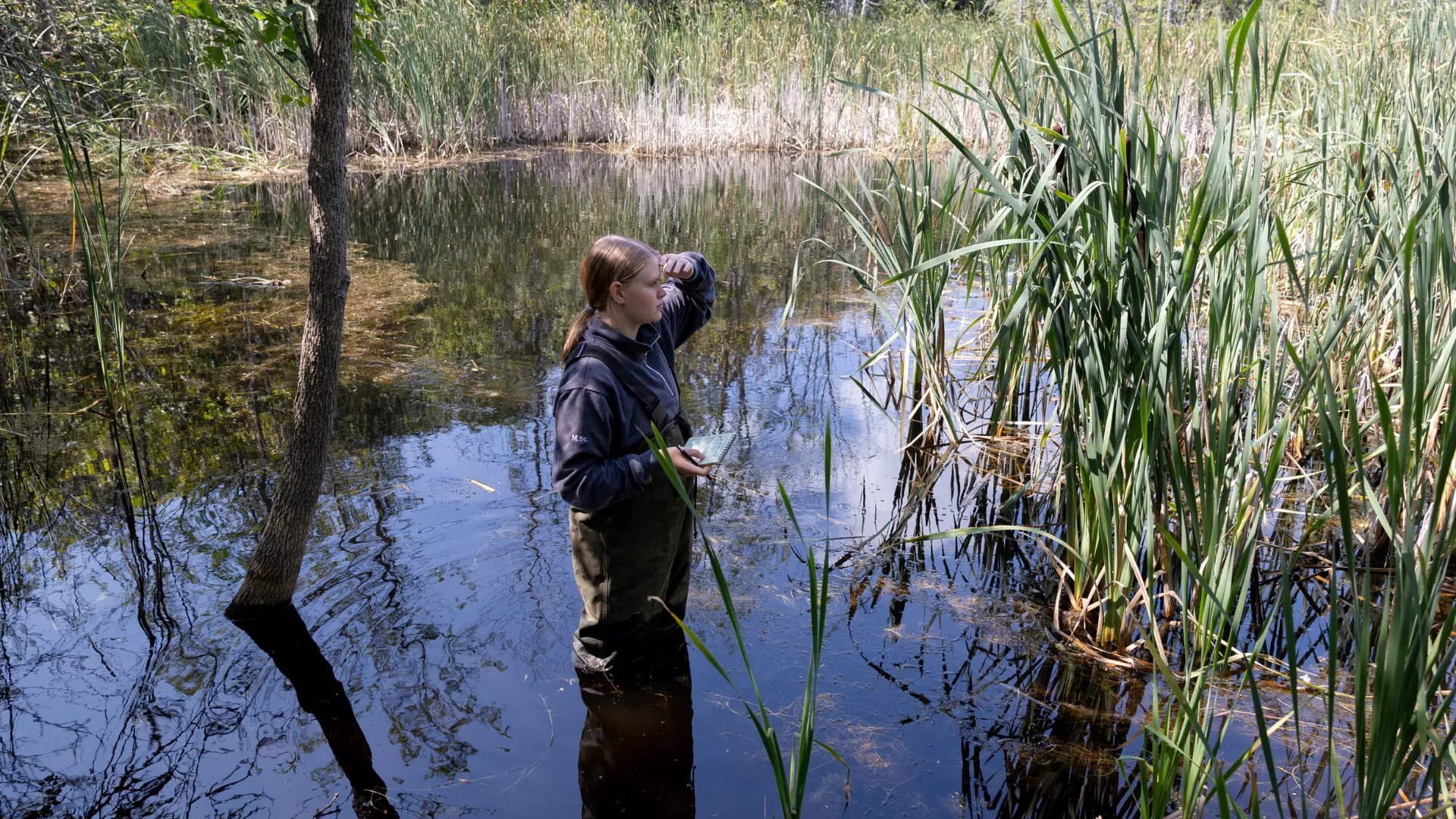 Conservation Biology student standing in a pond