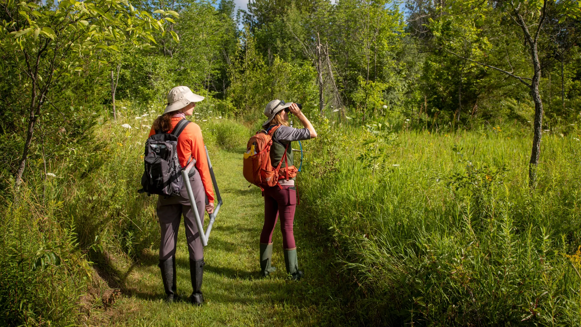 Trent students walking through Trent Nature areas