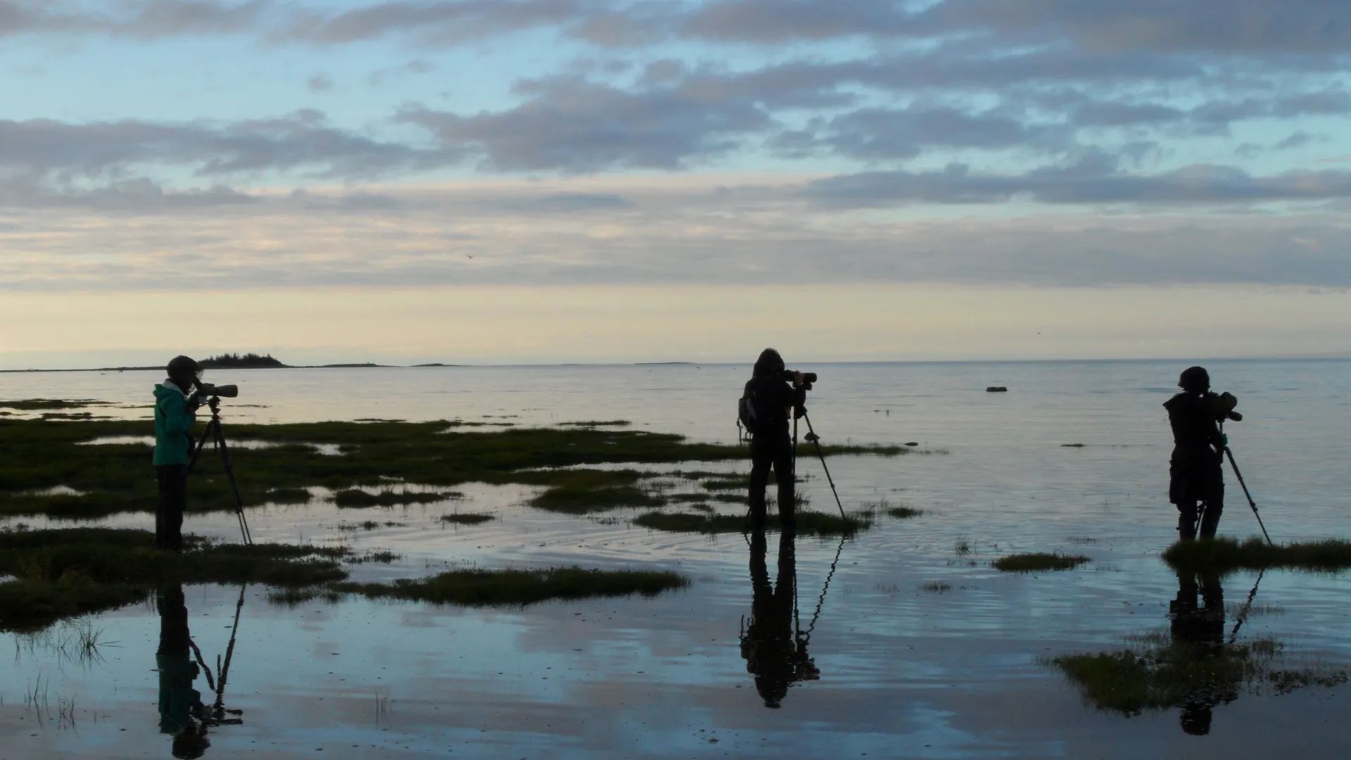 Trent students photographing a body of water at sunrise 