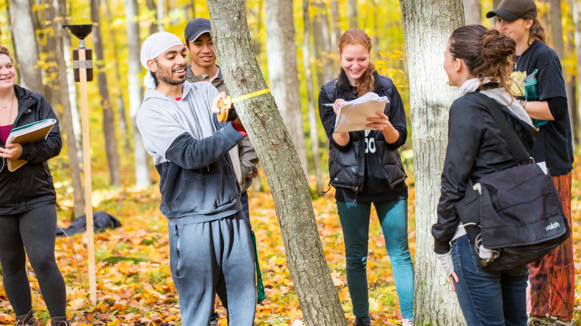 Trent students take measurements of a tree