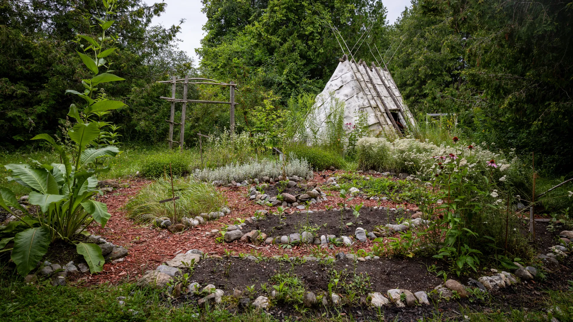 An outdoor garden on the Peterborough campus