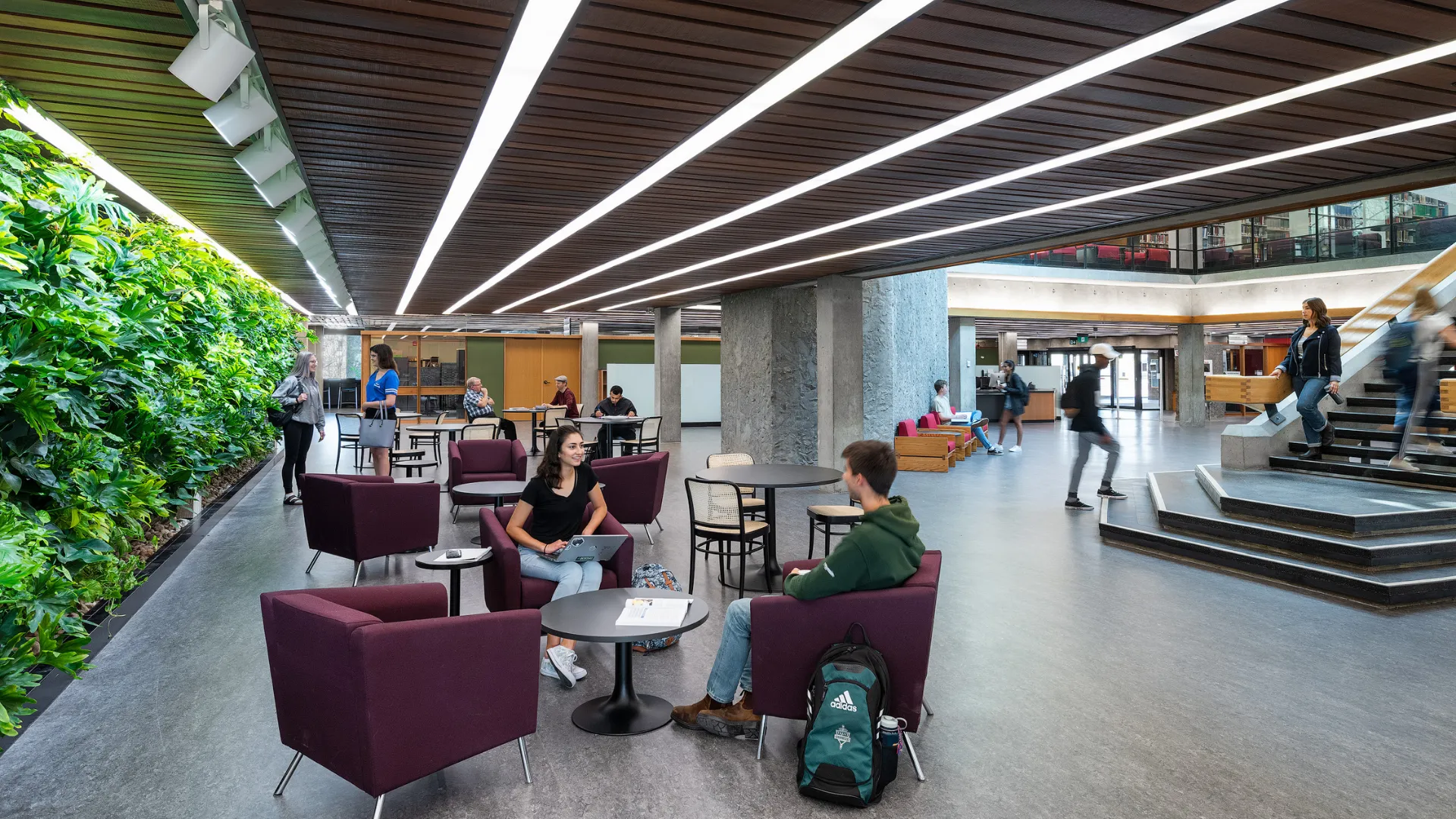 Trent students sit by the living wall in the Bata Library