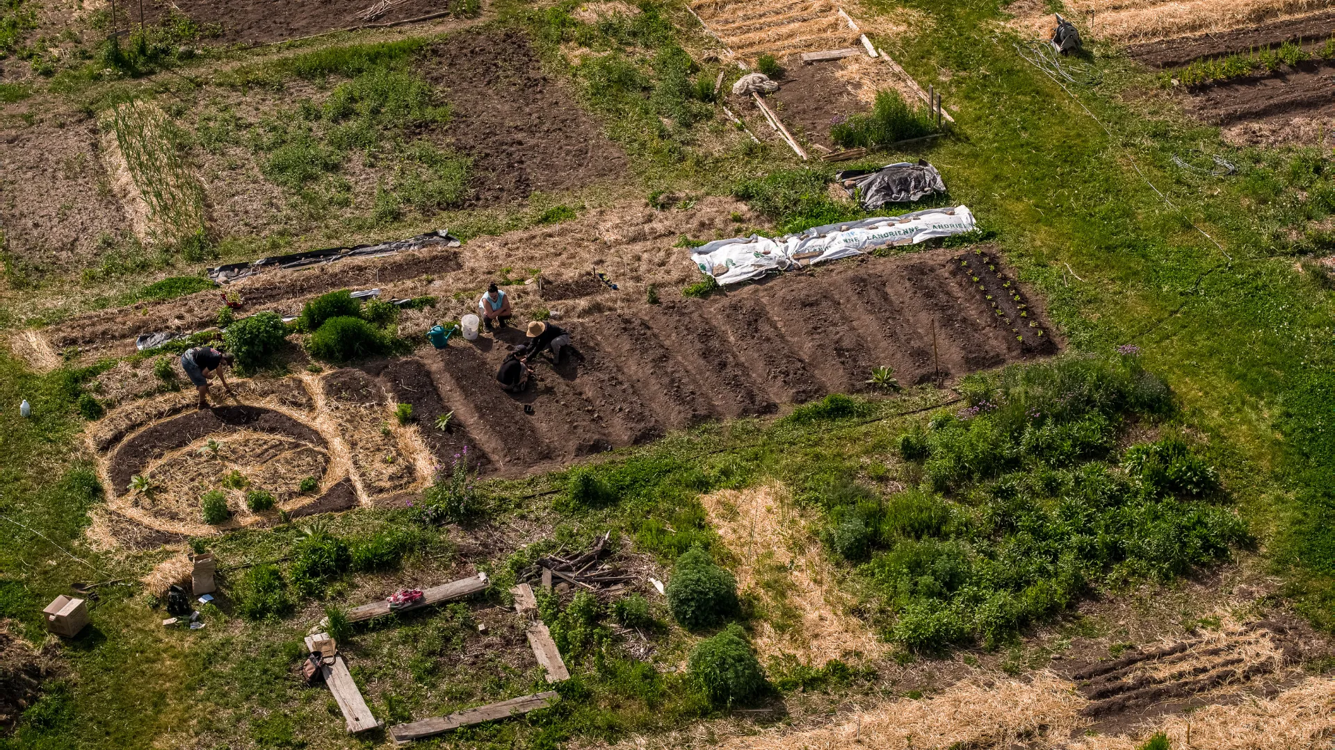 An aerial shot of the Trent farm