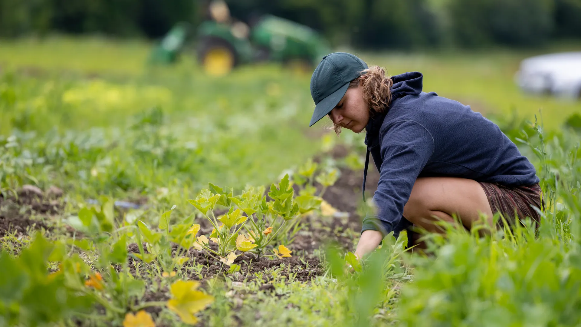 A Trent student working in the fields of the Trent farm