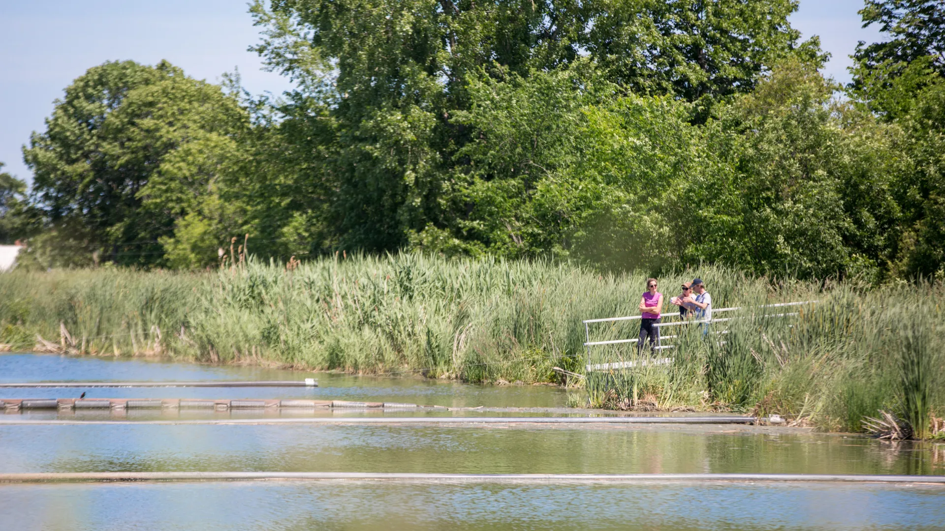 Students collecting samples along the bank of a river