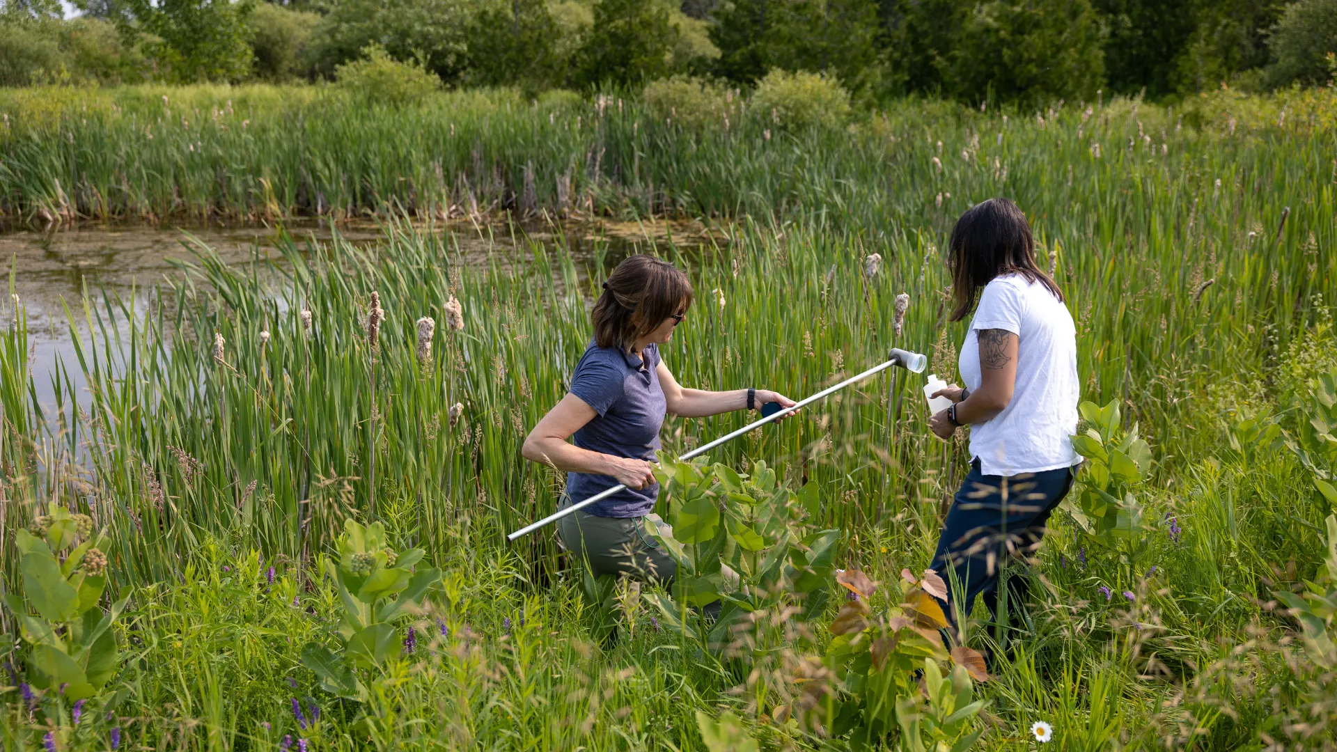 A professor and student collecting water samples from a pond