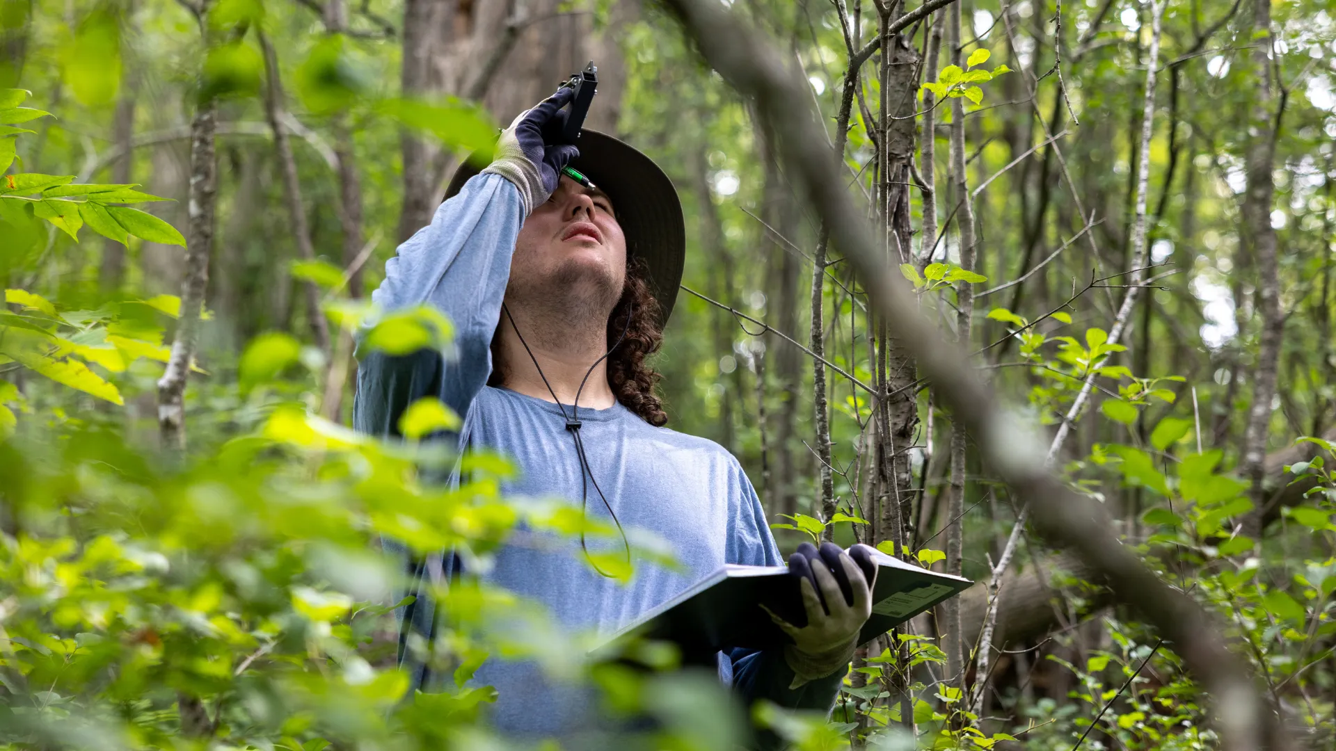 Student doing environmental surveying in forest.