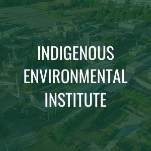 Indigenous Environmental Institute