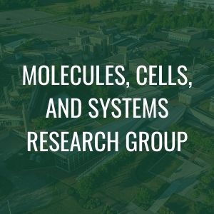 Molecules, Cells, and Systems Research Group