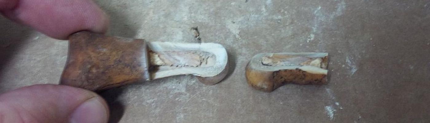 A fossilized bone filled with marrow