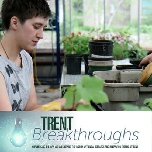 Trent Breakthroughs December 2020