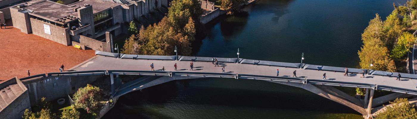Aerial view of students walking across the Faryon Bridge at Trent University in fall. 