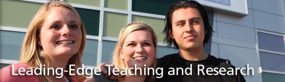 Section Description - picture description