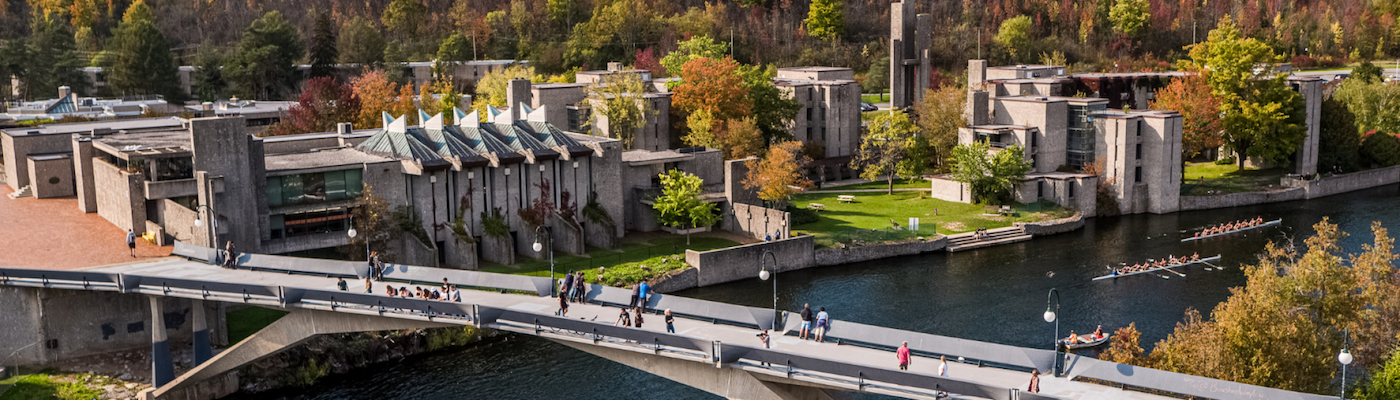 Bridge at Trent University 