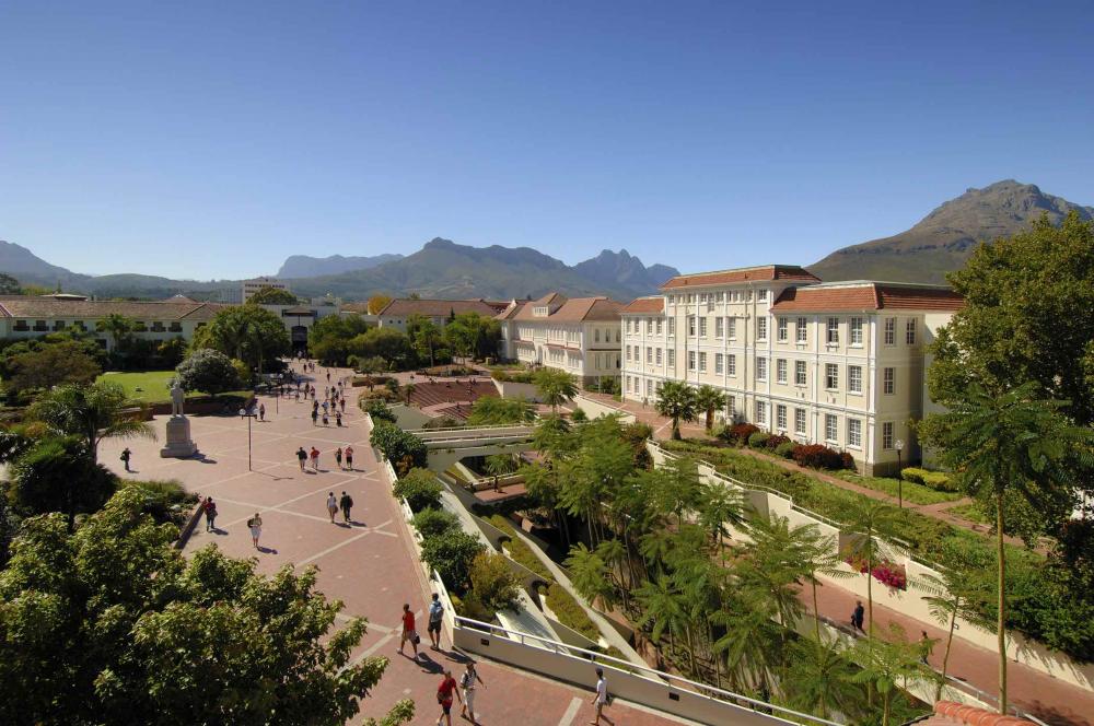 Stellenbosch University