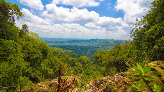 Belize Landscape 2023