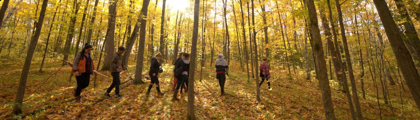 Sustainability M.A. students walking through a forest in the fall