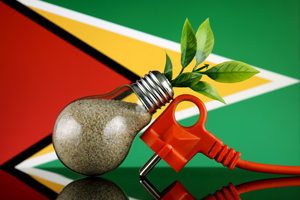 A lightbulb filled with organic matter to represent sustainability in front of a Guyanese flag