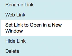 Setting your link to open in a new window