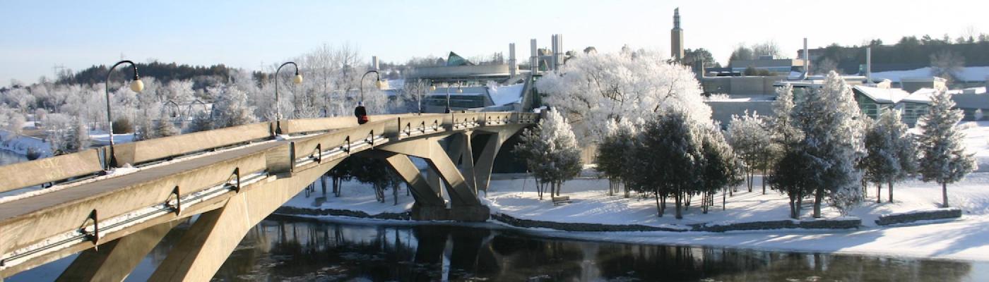 The university in the winter